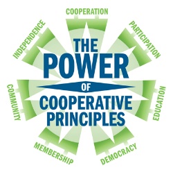 Co-Op-Principles